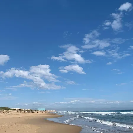 Puerto 21 - Gloriahomes Inmobiliaria * La Mata (Torrevieja)